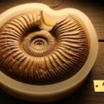 pyromining requiem orb order