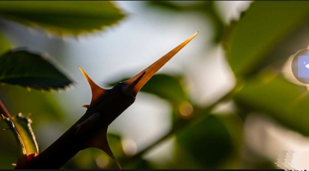 How Repmold Is Quietly Reshaping the Future of Manufacturing 1 repmold