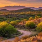 arivaca az news